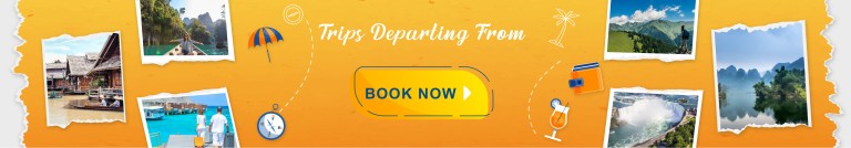 Travel Banner